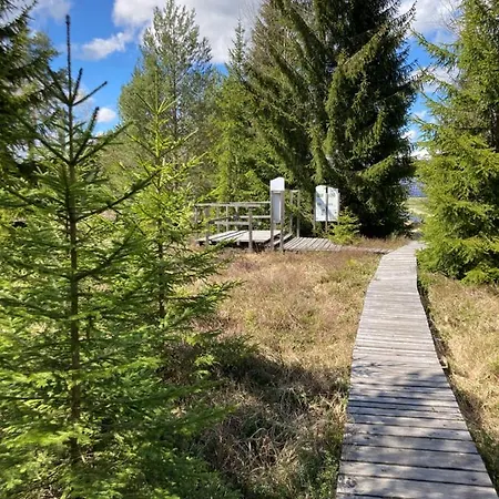 Am * Haidmühle