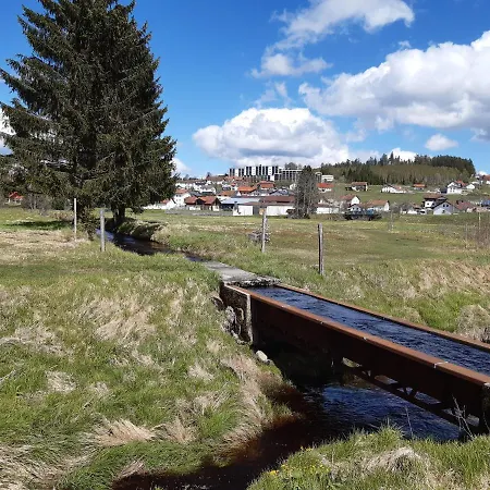 Am * Haidmühle